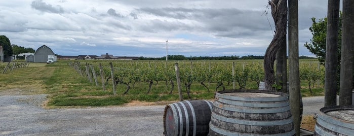 The Lenz Winery is one of North Fork Wine Trail.