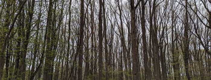 Greenbelt Nature Center is one of NYC.