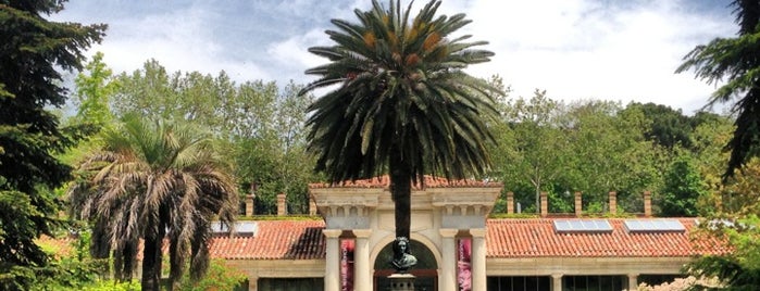 Real Jardín Botánico is one of สถานที่ที่ Sam ถูกใจ.