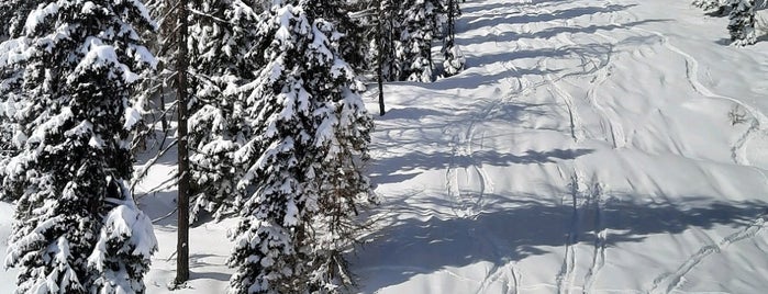Alpen is one of Super Dolomiti Ski Area - Italy.