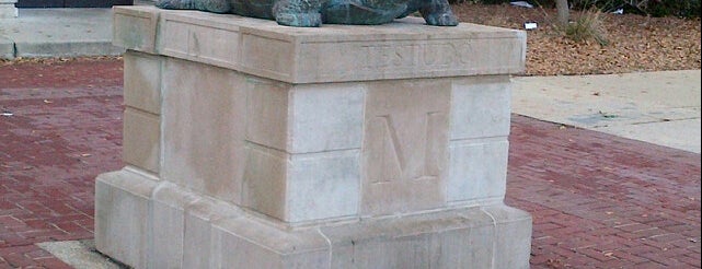 Testudo--The Original Statue is one of DC Bucket List 2.