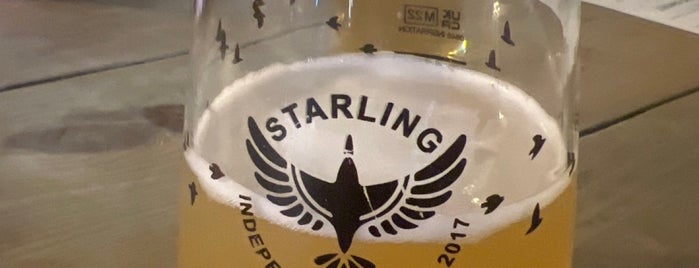 Starling Beer & Coffee House is one of Harrogate Nightlife.