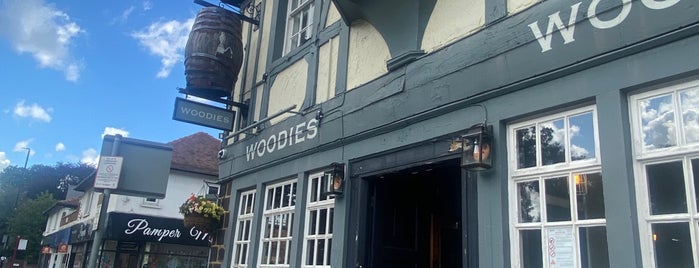 Woodies Craft Ale House is one of Locais curtidos por Carl.