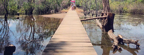 Neak Poan is one of Cambodia top things to do.