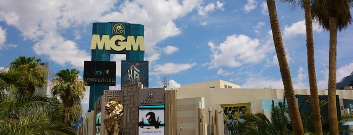 MGM Grand Hotel & Casino is one of Vegas Party Stops (Top Ten).