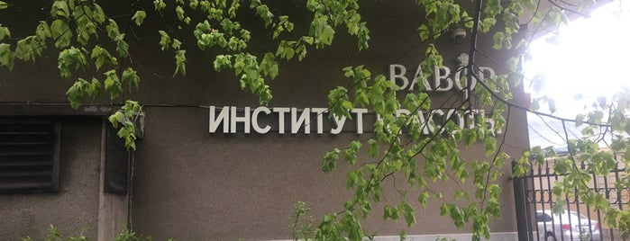 Babor Institute is one of Elena : понравившиеся места.