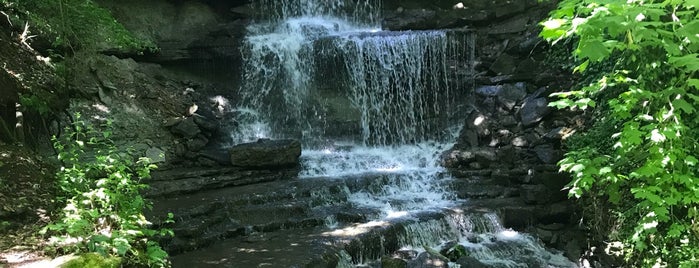 West Milton Falls is one of Waterfalls - 2.