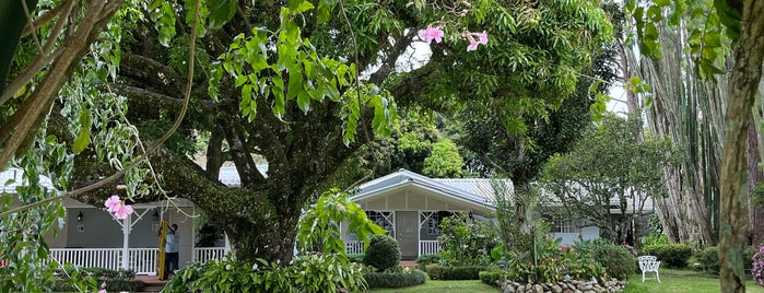 Hotel Panamonte is one of Chiriqui.