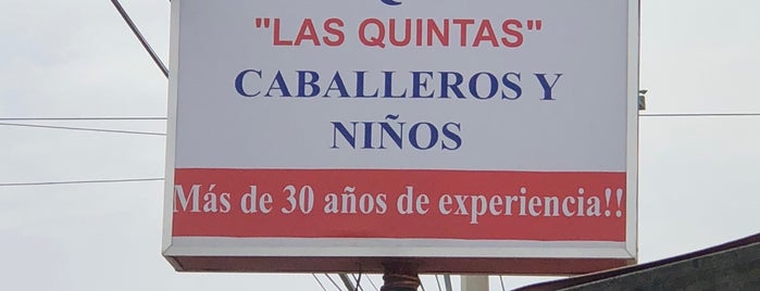 Peluqueria Las Quintas is one of Fernando'nun Beğendiği Mekanlar.