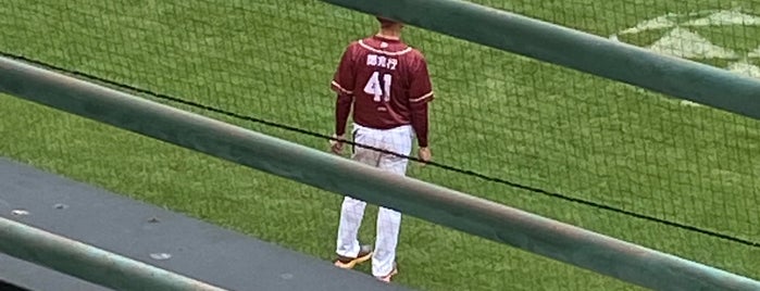 新荘野球場 is one of Baseball stadiums.