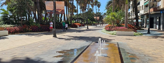 Estepona is one of spain.