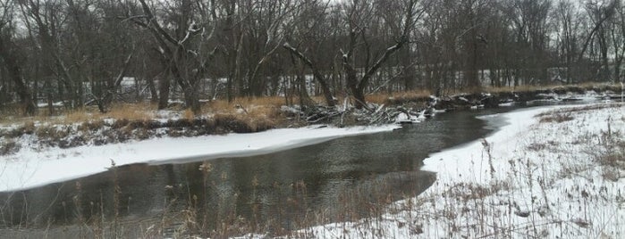 Oak Ridge Forrest Preserve is one of Hikes.