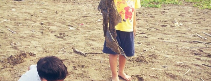 Pantai Pasia Sabalah is one of mika'nın Beğendiği Mekanlar.