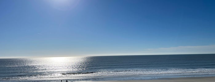City of North Myrtle Beach is one of All-time favorites in United States.