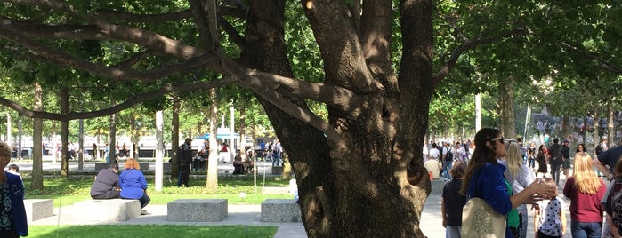 9/11 Survivor Tree is one of Lugares favoritos de Jorge.