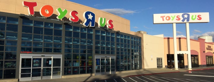 Toys"R"Us is one of Dept Stores.