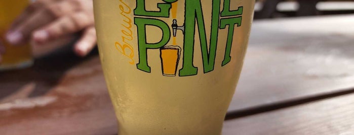 Lone Pint Brewery is one of Houston.