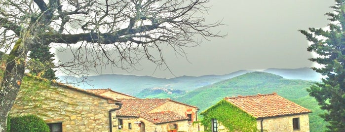 Il Borgo Di Vèscine is one of Chianti Classico Direct Sales in Wineries.