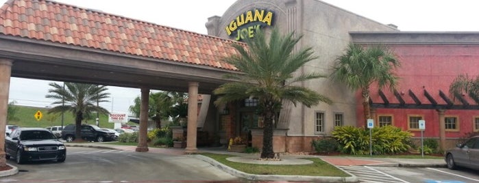 Iguana Joe's is one of สถานที่ที่ Eric ถูกใจ.