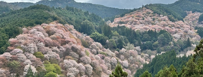 吉水神社 is one of 日本の世界文化遺産（紀伊山地の霊場と参詣道）.