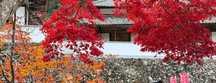 Minō Park is one of Osaka Kyoto Nara 2020.