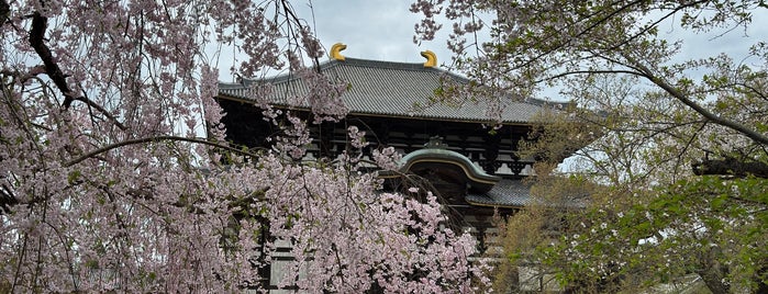 Daibutsu-den (Great Buddha Hall) is one of Nara.