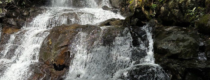 Laurel Falls is one of Lugares favoritos de Brandon.