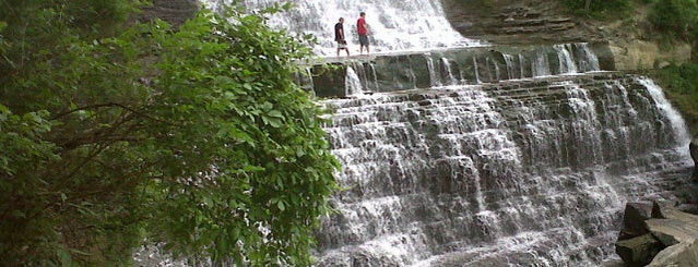 Bruce Trail is one of Sightseeing in Hamilton, Ontario.
