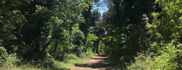 Pineta di Marina Di Ravenna is one of preferiti.