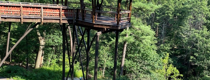 The David Wenzel Treehouse is one of Bucket list checked.