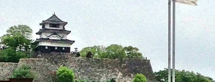 Marugame Castle is one of 現存天守閣.