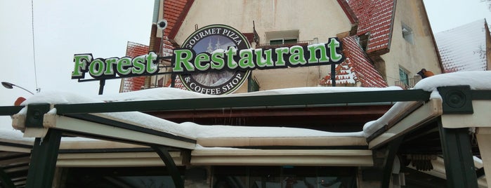Forest Restaurant is one of Marocco.