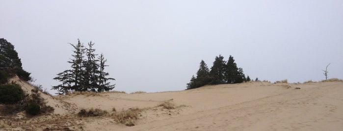 Airplane Hill, Oregon Dunes is one of My Saved Places List 3.