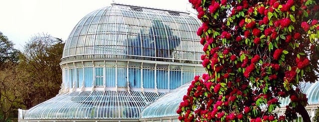 Botanic Gardens is one of Roadtrip / Ireland.