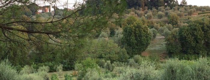 Agriturismo Malafrasca is one of Tuscany.