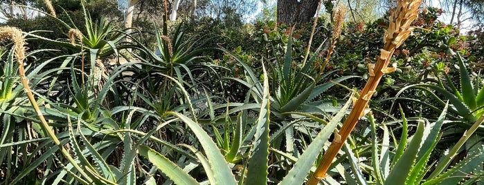 Marian Harlow Garden at Elysian Park is one of Posti che sono piaciuti a Christopher.