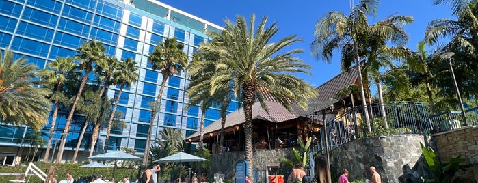 Disneyland Hotel Pool is one of Ca.