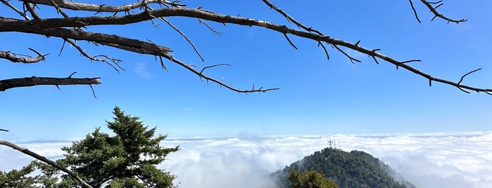 Mt. Wilson Trail is one of Hiking - LA - South Bay - OC - etc..