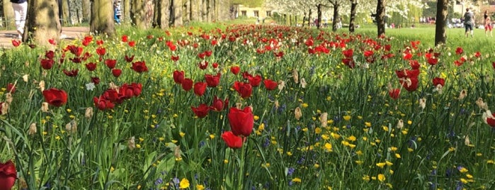 Trinity College Fellows' Gardens is one of Dimitraさんのお気に入りスポット.