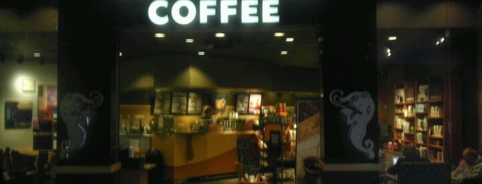 Starbucks is one of Orte, die Tumara gefallen.