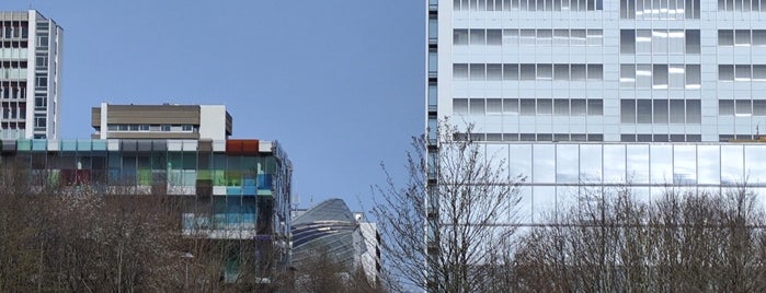 Novartis Campus is one of Basel.
