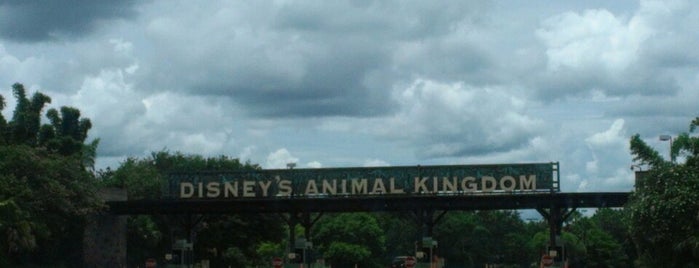 Animal Kingdom Parking Lot is one of Lucia's Saved Places.