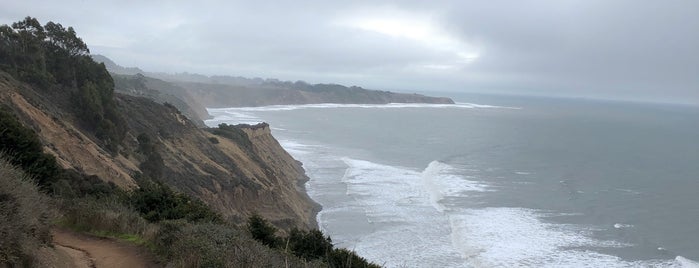 Coast Trail (to Alamere Falls) is one of Lieux qui ont plu à MLO.