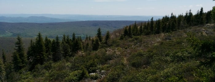 Dolly Sods is one of Lugares guardados de Mike.