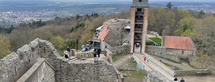 Burg Frankenstein is one of Dog.