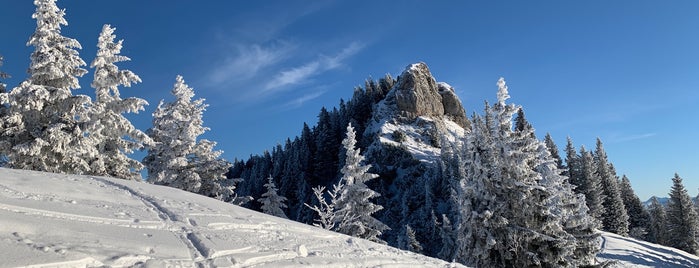 Apres Ski