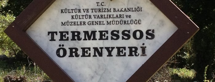 Termessos is one of Планы в Турции.