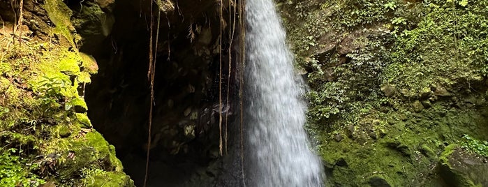 Catarata La Oropendola is one of Costa Rica.