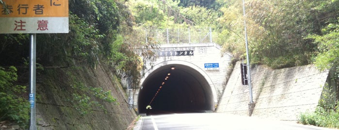 新童学寺トンネル is one of 【お遍路 徳島編】四国八十八箇所と関連スポット.