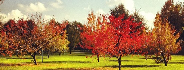 Гольф-клуб в Крылатском is one of Golf in Russia.